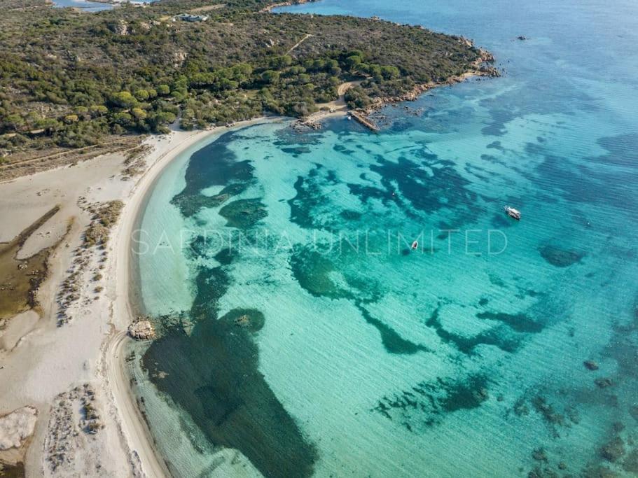 Villa Domus Ardea Capo Coda Cavallo Dış mekan fotoğraf
