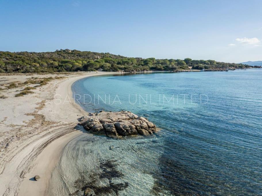 Villa Domus Ardea Capo Coda Cavallo Dış mekan fotoğraf